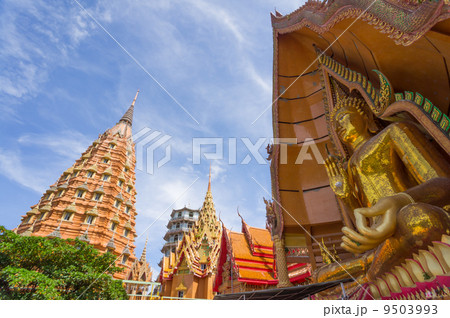 Buddha statue Buddha statue 9503993