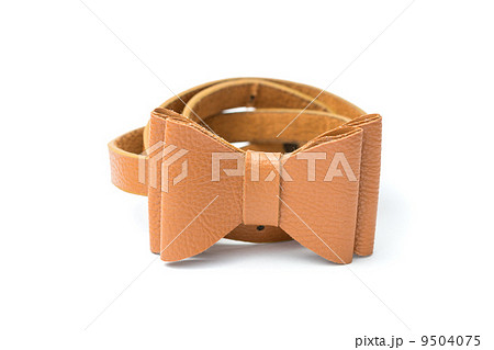 Brown belt 9504075