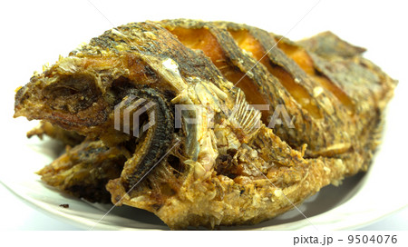 fried fish 9504076