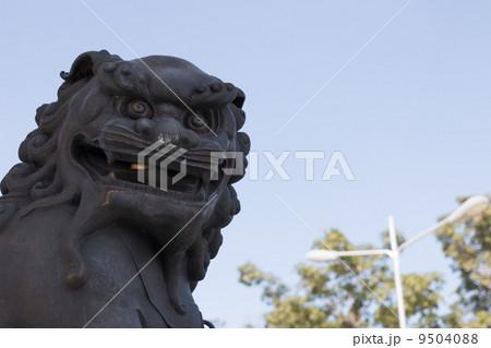 Lion Lion 9504088