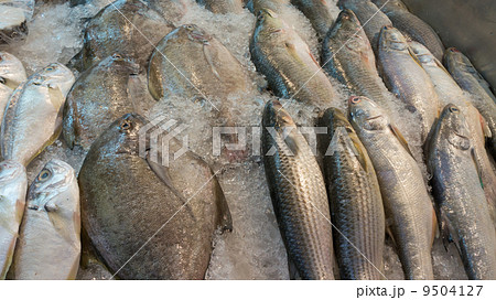Raw fish Raw fish 9504127