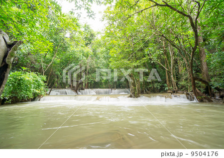Perfect nature scene 9504176