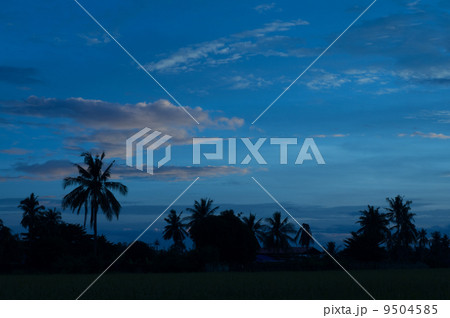 Amazing evening 9504585