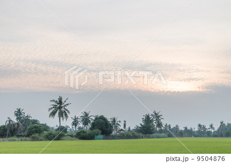 country side 9504876