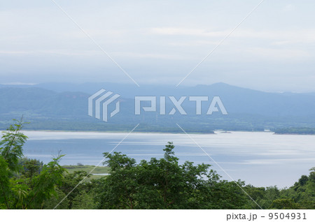 forrest water mountain 9504931