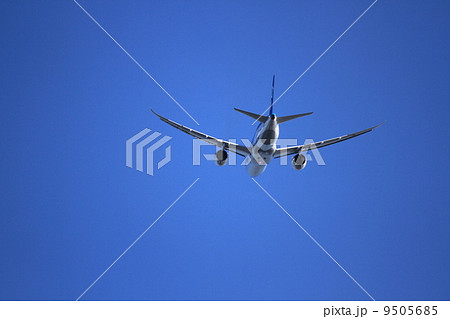 787の後姿 9505685