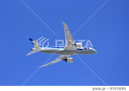 ドリームライナー 9505689