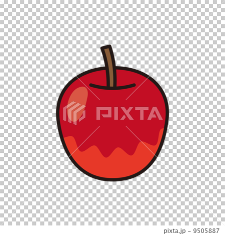 Apple  9505887