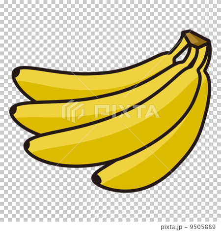 banana 9505889