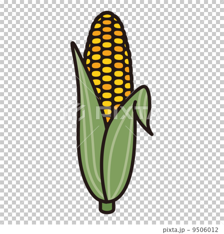 玉米 9506012