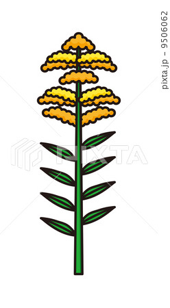 ブタクサ 9506062