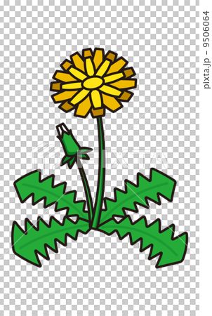 たんぽぽ 9506064