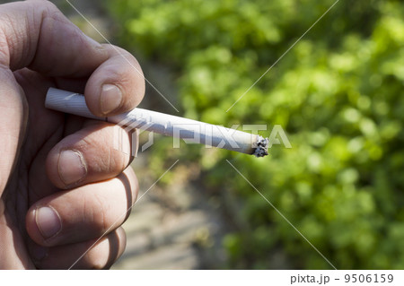Cigarette Cigarette 9506159