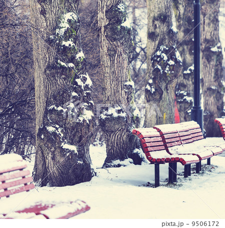 Winter bench 9506172