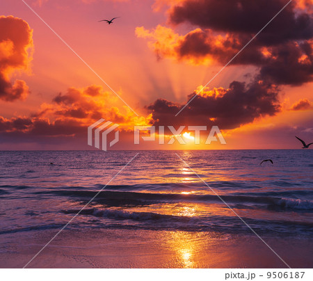 Sea sunset Sea sunset 9506187