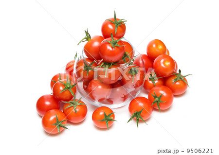 cherry tomatoes isolated on white background cherry tomatoes isolated on white background 9506221