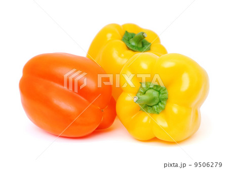 Bell Peppers 9506279