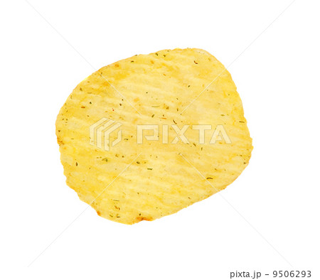 Potato Chip 9506293