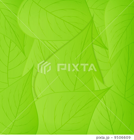 Green Leaves Background Green Leaves Background 9506609