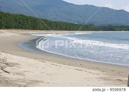 高田松原(2005年) 高田松原(2005年) 9506978