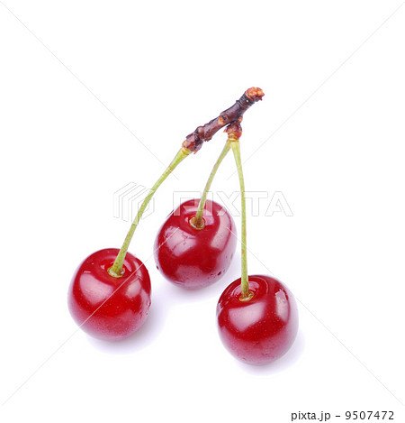 Three cherries 9507472