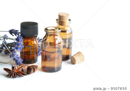 アロマと科学 9507650