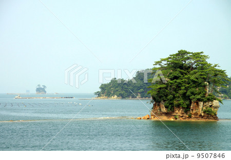 九十九島 9507846