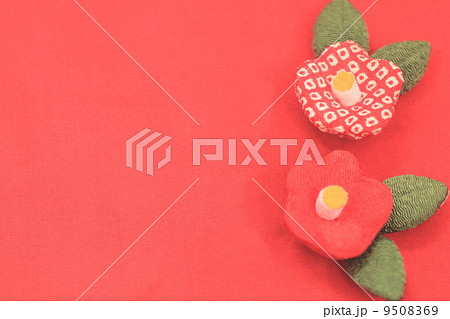 和柄テクスチャ 9508369