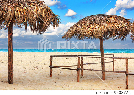 reed umbrellas from the sun reed umbrellas from the sun 9508729