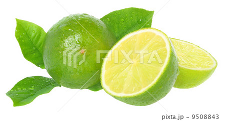 Part lime with leaf 9508843