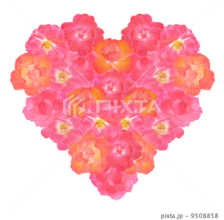 Flower of the rose in the shape of heart 9508858