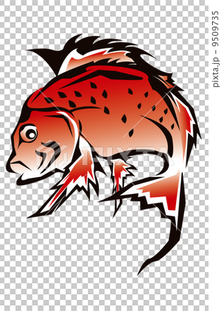 鯛魚圖 9509735