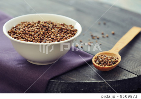 Coriander seeds 9509873