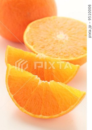 紅まどんな 紅まどんな 9510006