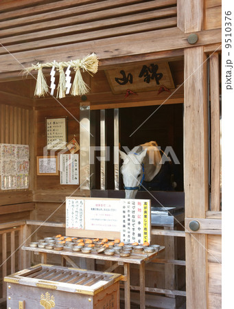 多度大社神馬舎 多度大社神馬舎 9510376