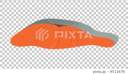 鮭の切り身 鮭の切り身 9511676