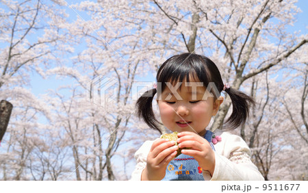 おにぎりと女の子 9511677