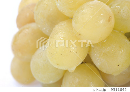 White grapes 9511842