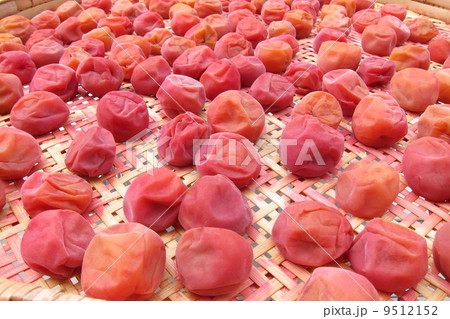 梅　天日干し 9512152