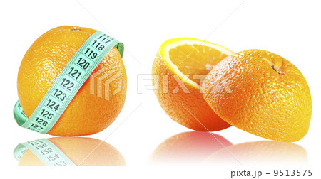 slices of orange isolated on white slices of orange isolated on white 9513575