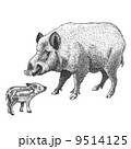 engraving boar and piglet 9514125