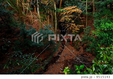 京都山中の瀧宮神社 京都山中の瀧宮神社 9515143