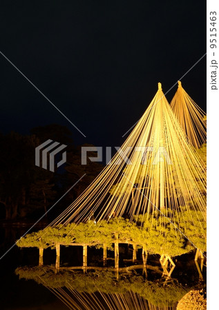 冬の兼六園・唐崎松【縦】 9515463