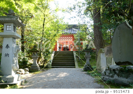 金沢神社【横】 金沢神社【横】 9515473