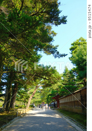 秋の兼六園【縦】 秋の兼六園【縦】 9515474