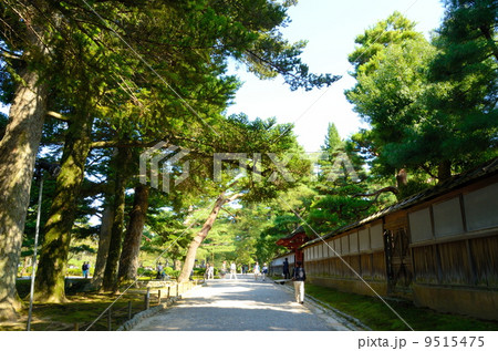 秋の兼六園【横】 秋の兼六園【横】 9515475