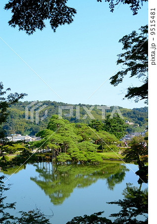 秋の兼六園・唐崎松【縦】 9515481