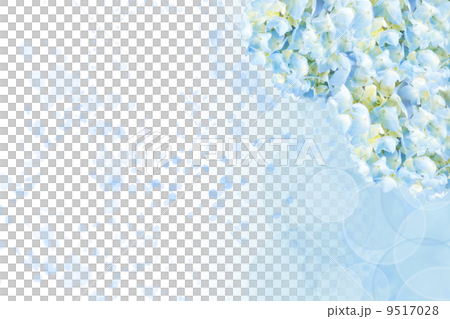 Hydrangea image background Hydrangea image background 9517028