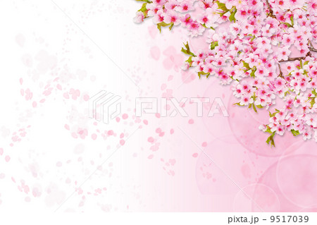 桜のイメージ背景 桜のイメージ背景 9517039