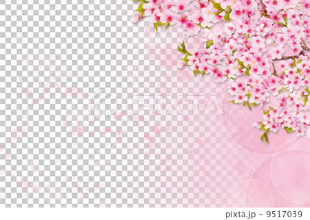 桜のイメージ背景 桜のイメージ背景 9517039